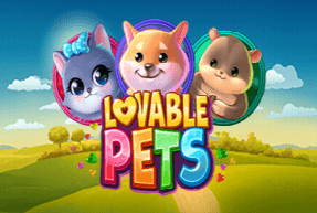 Lovable pets thumbnail